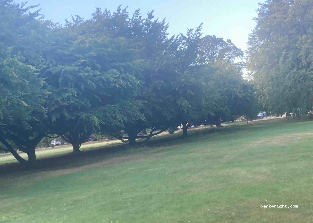 () Harrogate - Coach Road — foto 3