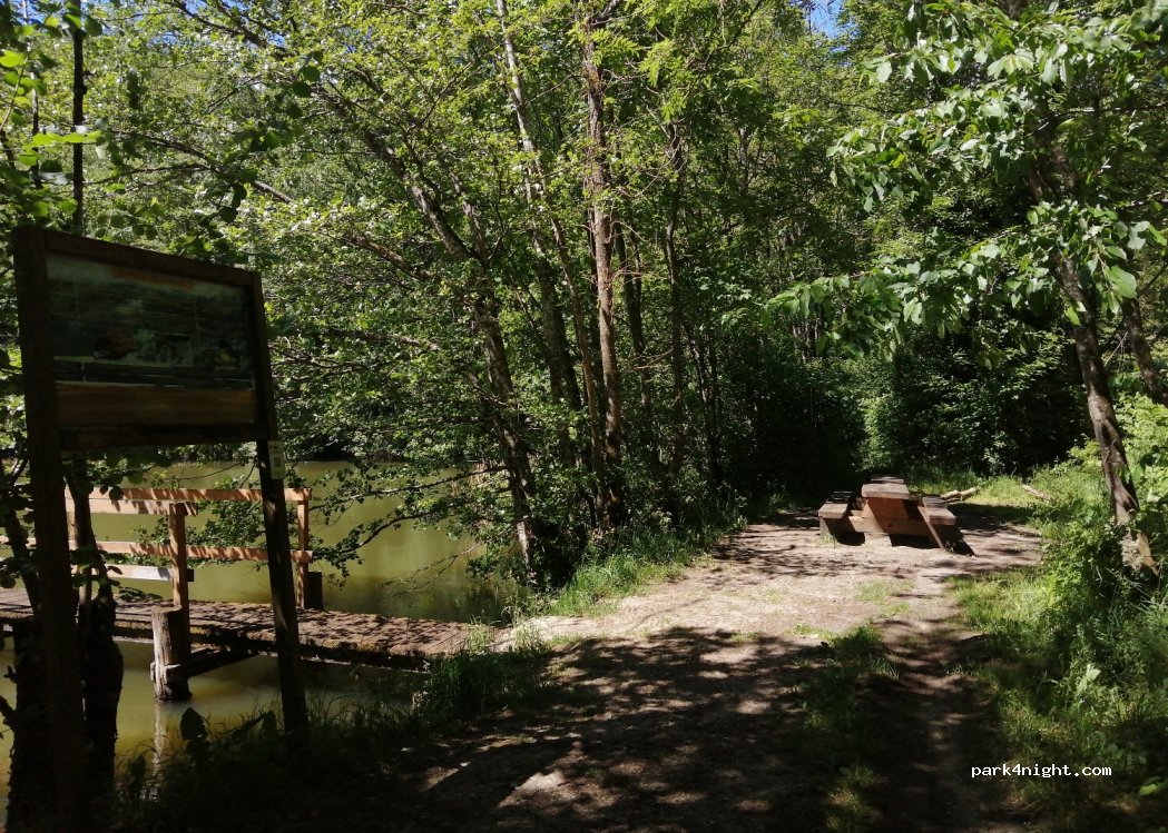 (6182) Junglinster - Rte de Luxembourg — foto