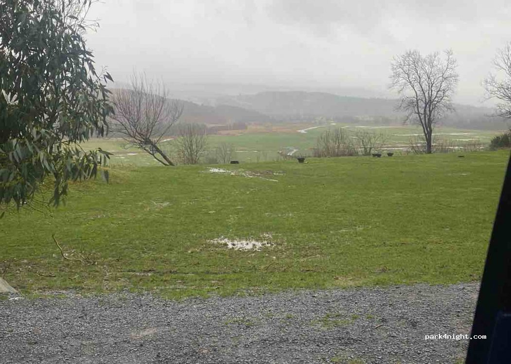 Moss Side Farm Campsite — foto 2