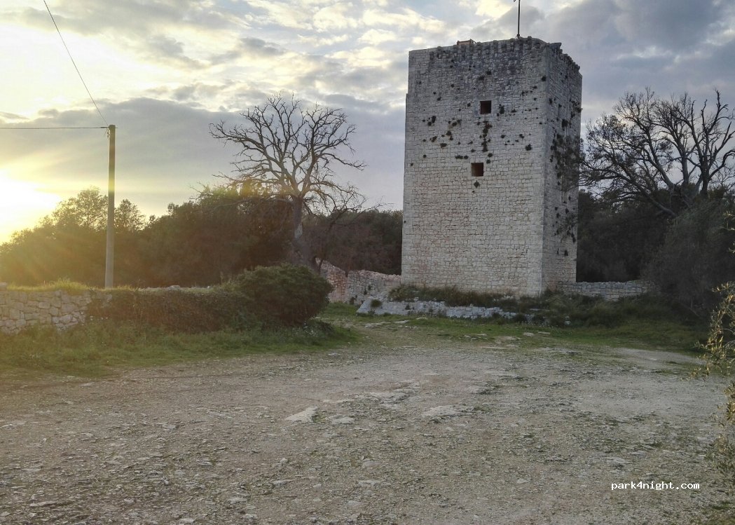 (70014) Apulia - Strada Provinciale 37 — foto