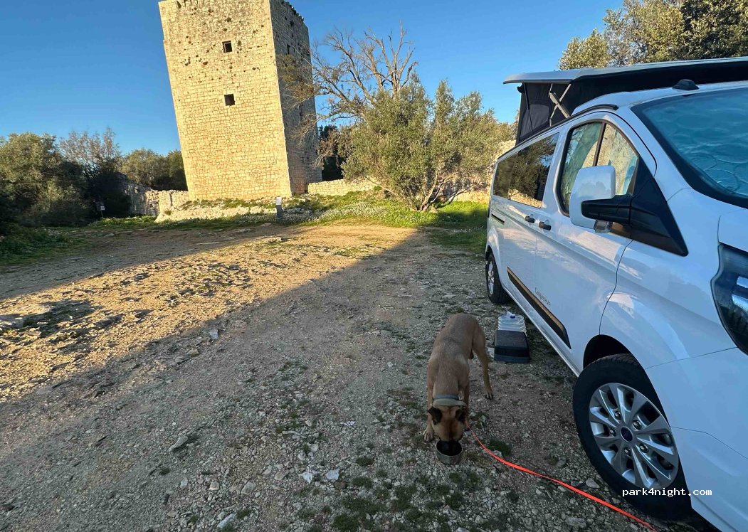 (70014) Apulia - Strada Provinciale 37 — foto 4