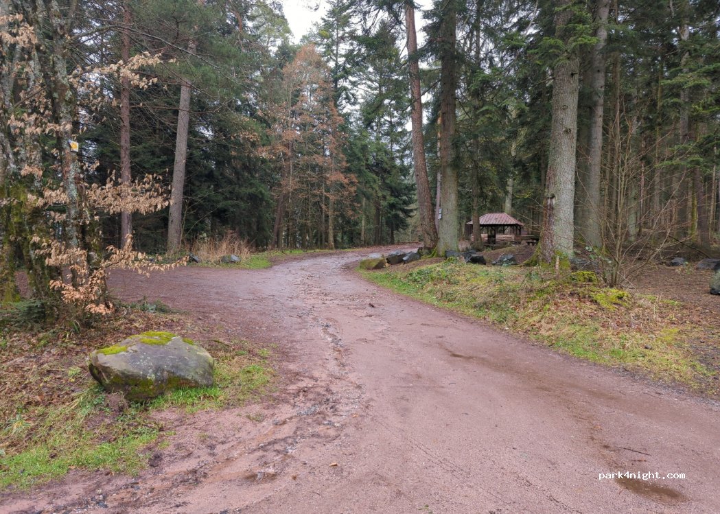 (88100) Saint-Dié-des-Vosges - 220 Route Forestière du Paradis — foto