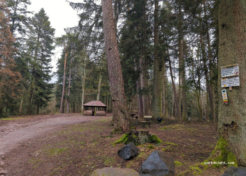 (88100) Saint-Dié-des-Vosges - 220 Route Forestière du Paradis — foto 2