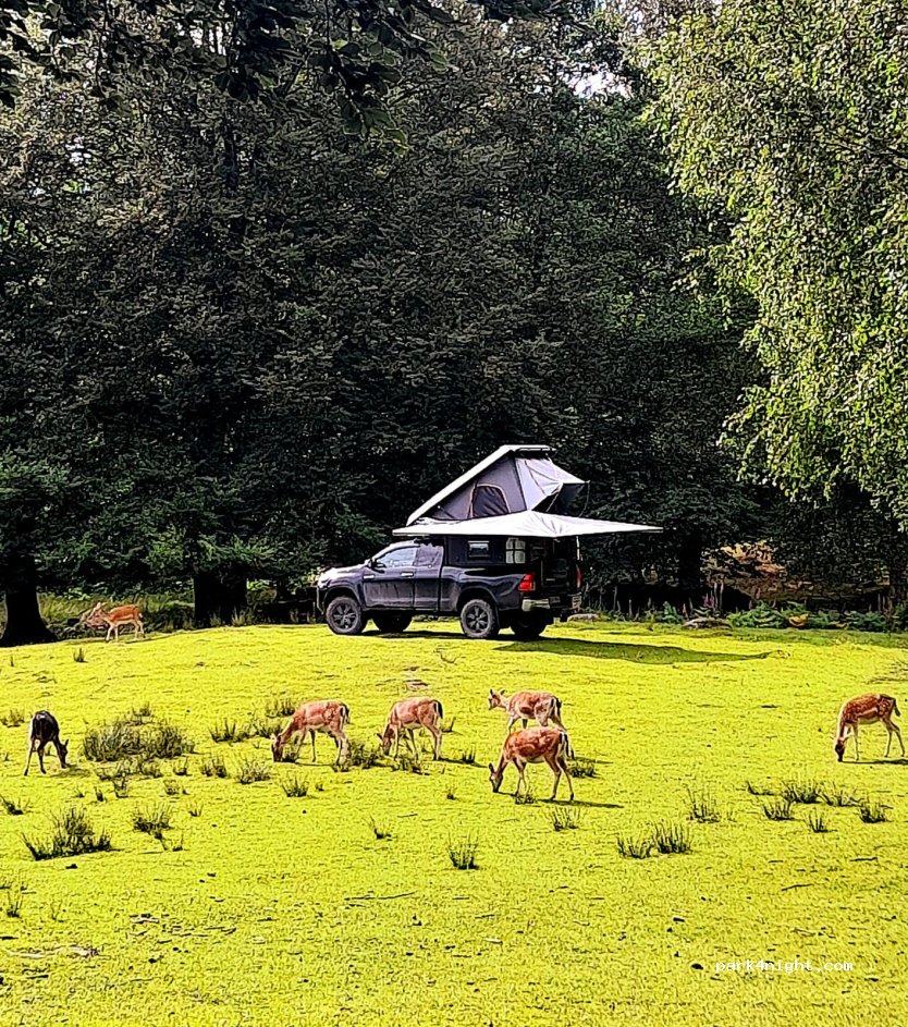 Viltpark Hjortaröd — foto 3