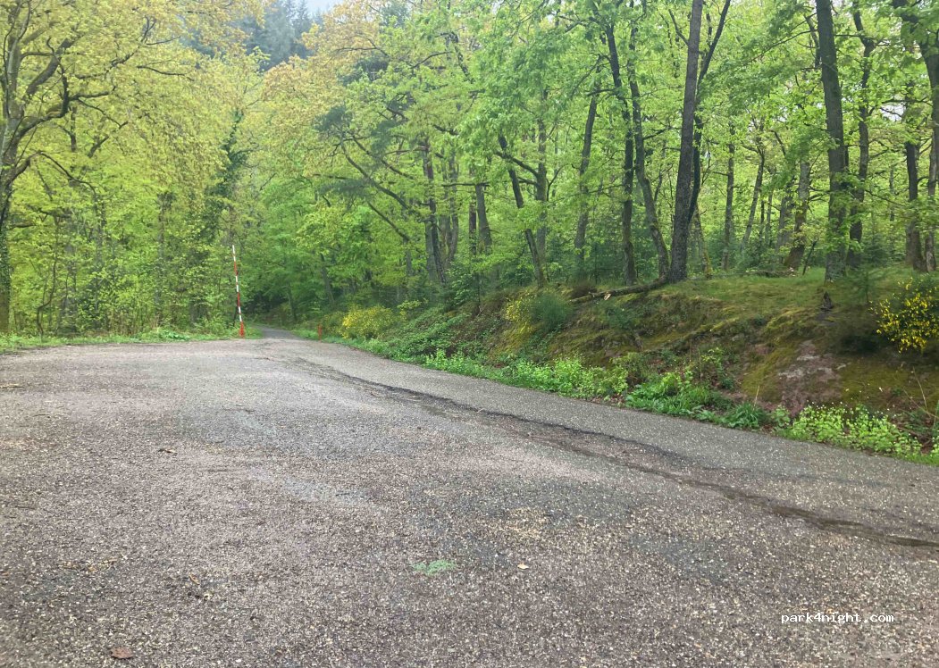 (76593) Gernsbach - Unnamed Road — foto