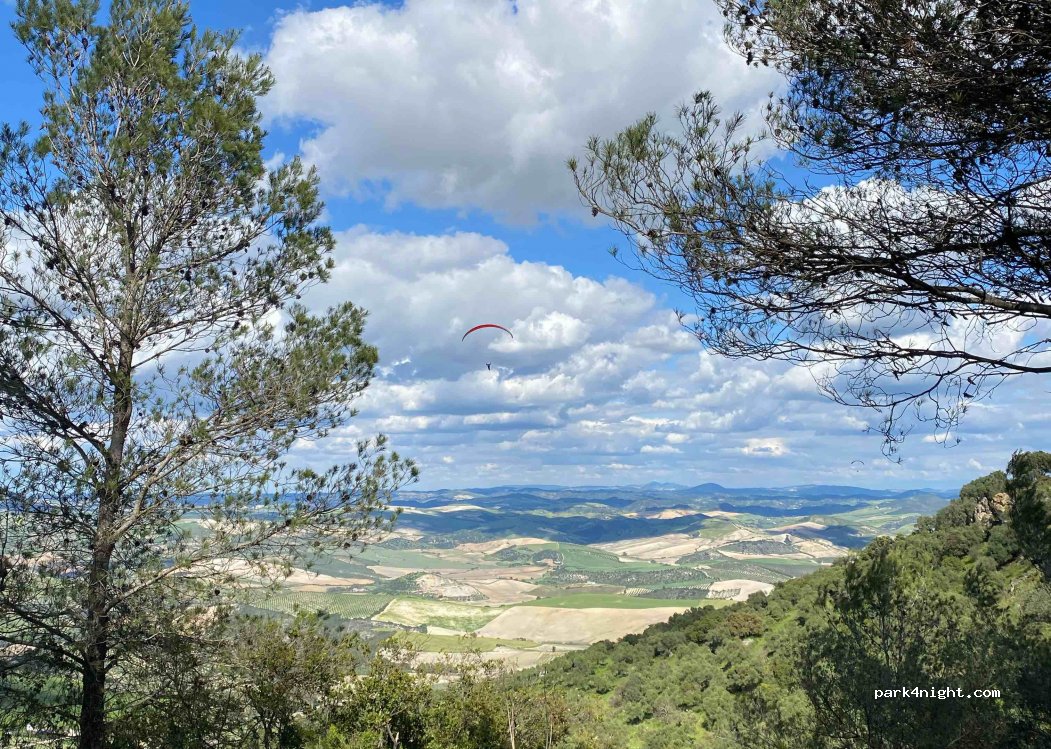 (41770) Montellano - Unnamed Road — foto 2