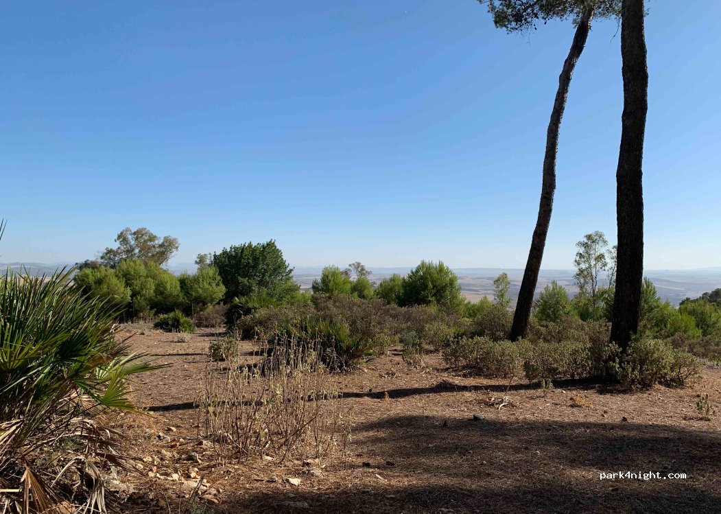 (41770) Montellano - Unnamed Road — foto 3