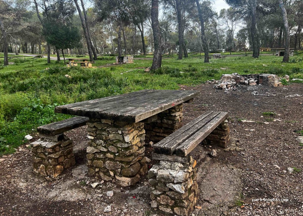 (41770) Montellano - Unnamed Road — foto 4