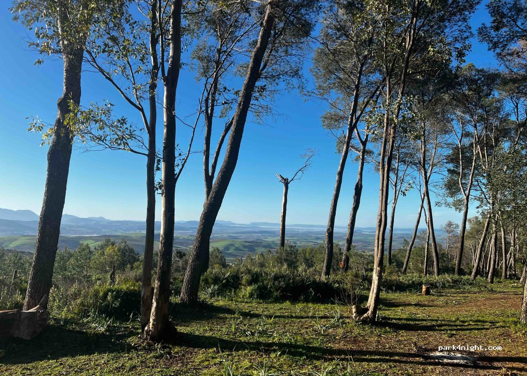 (41770) Montellano - Unnamed Road — foto 5