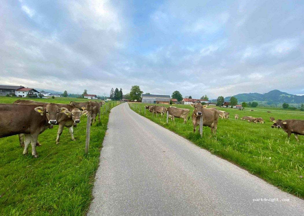 (87545) Burgberg im Allgäu - 2 Oberortwang — foto 3