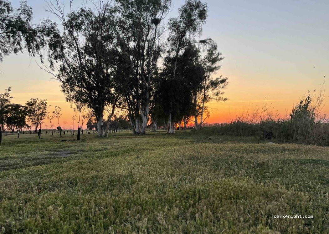 (41150) Poblado de Alfonso XIII - Unnamed Road — foto