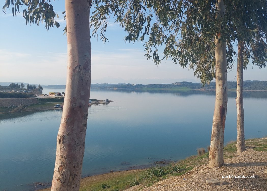 (01170) Saricam/Adana - Unnamed Road — foto
