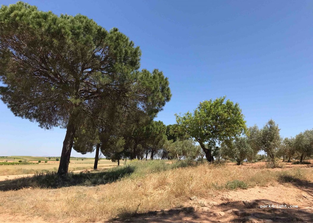 (02214) Las Eras - Cam. de Alcala del Jucar a Alborea — foto 3