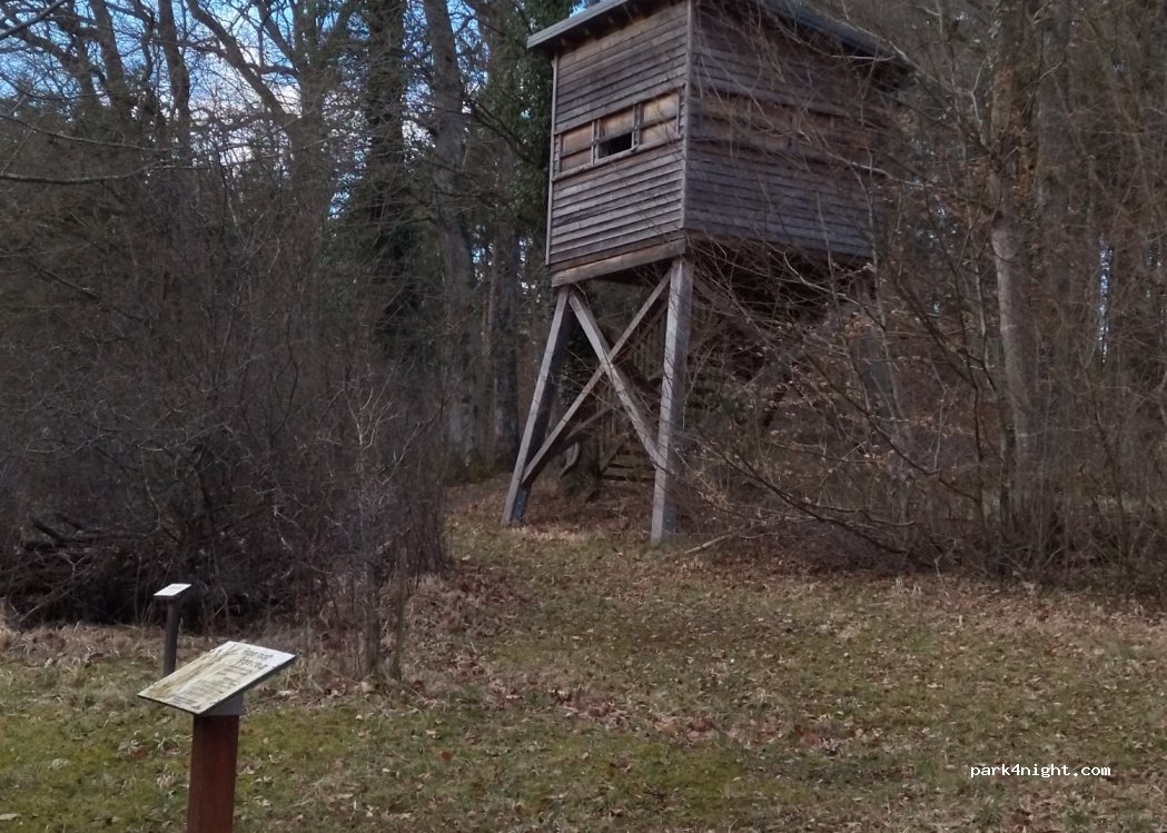 (57430) Sarralbe - Arboretum Sarralbe — foto 3