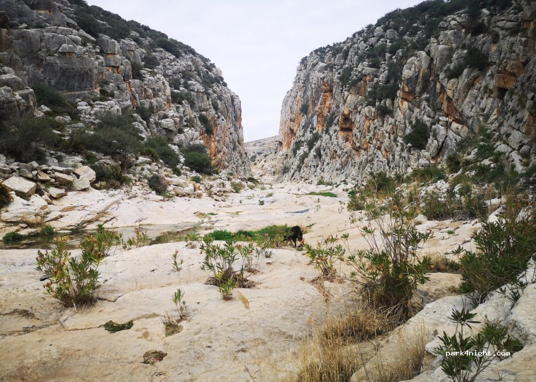 (29327) Teba - 19 Terreno UR-6 Torrox — foto