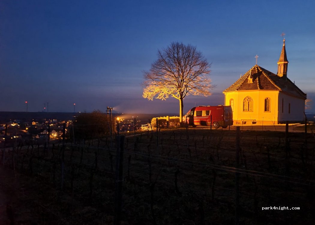 (67550) Worms - — foto