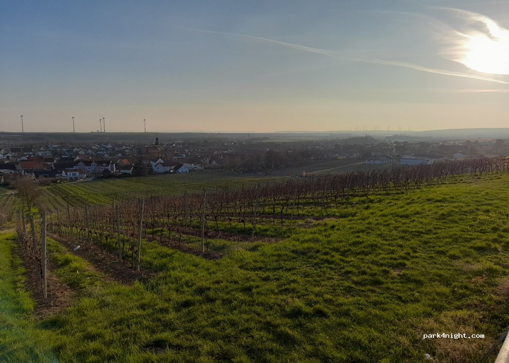 (67550) Worms - — foto 3