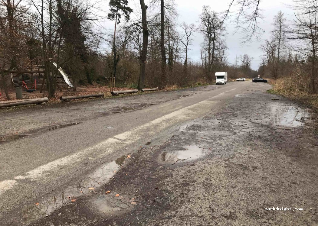(76694) Forst - Kronauer Allee — foto