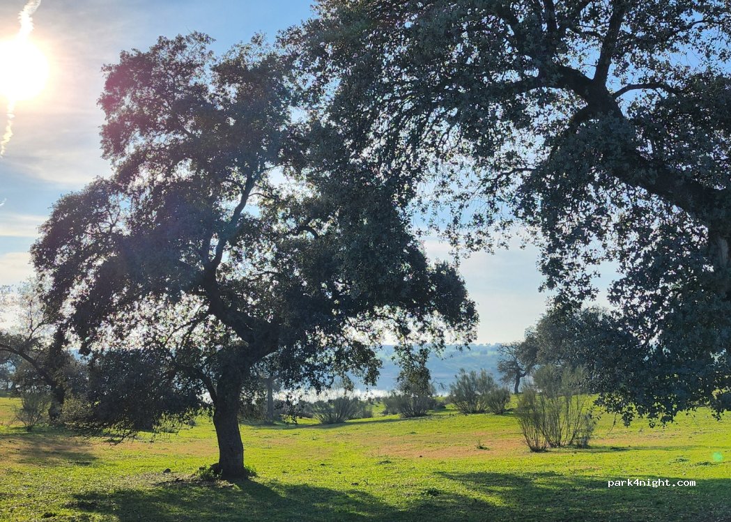 (14470) El Viso - — foto