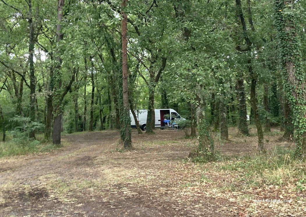 (33650) Cabanac-et-Villagrains - 7B Route du Sauternais — foto 2