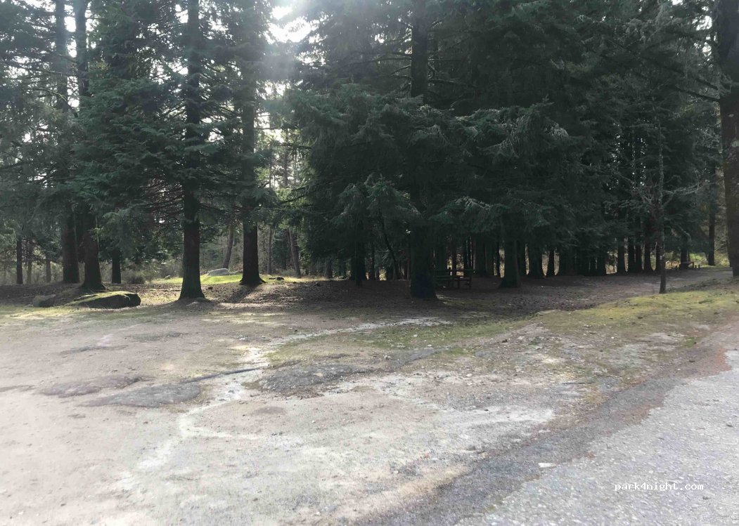 (5100) Lamego - Unnamed Road — foto