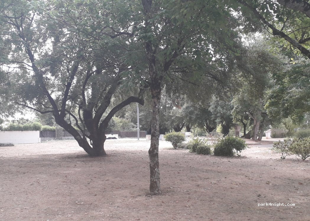 (79230) Vouillé - L'Aquitaine — foto
