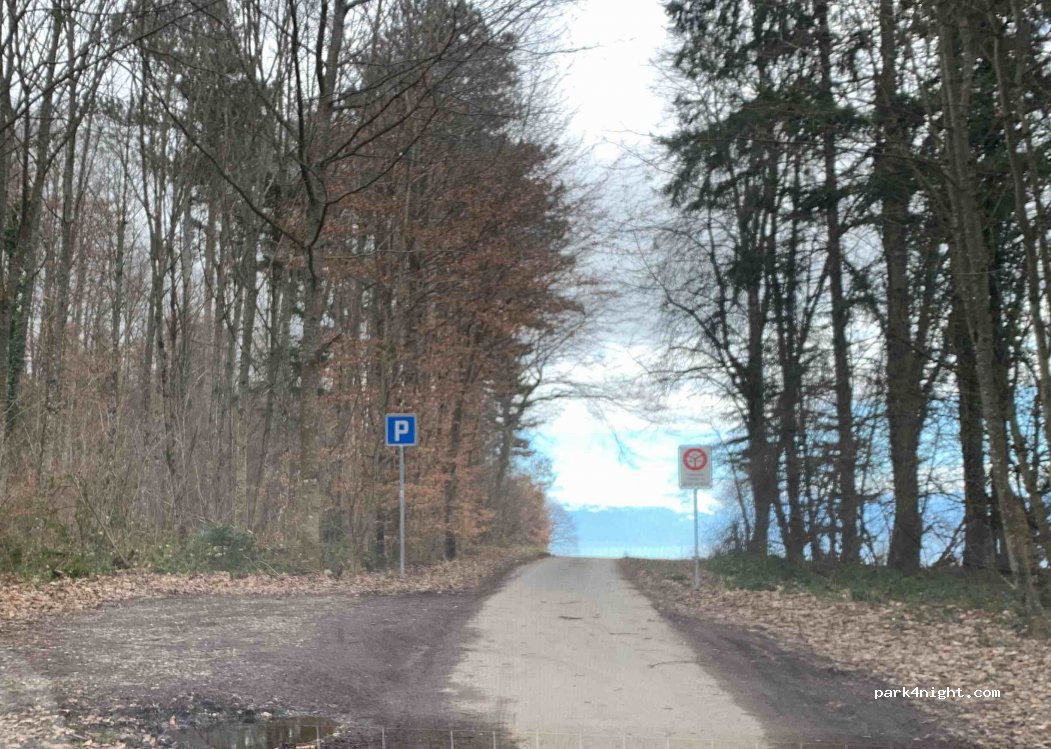 (1143) Apples - Unnamed Road — foto