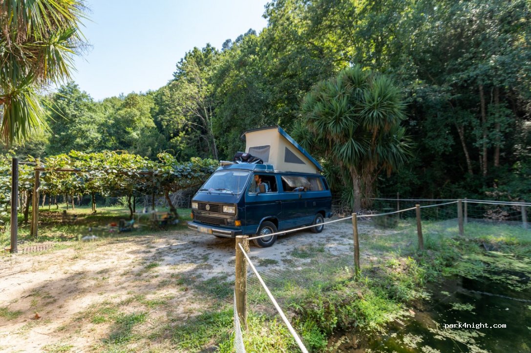 MICROCAMPING AT KIWIS-RIBAS — foto