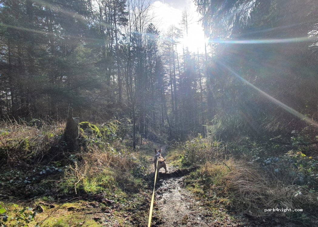 (S36) Langsett - Unnamed Road — foto