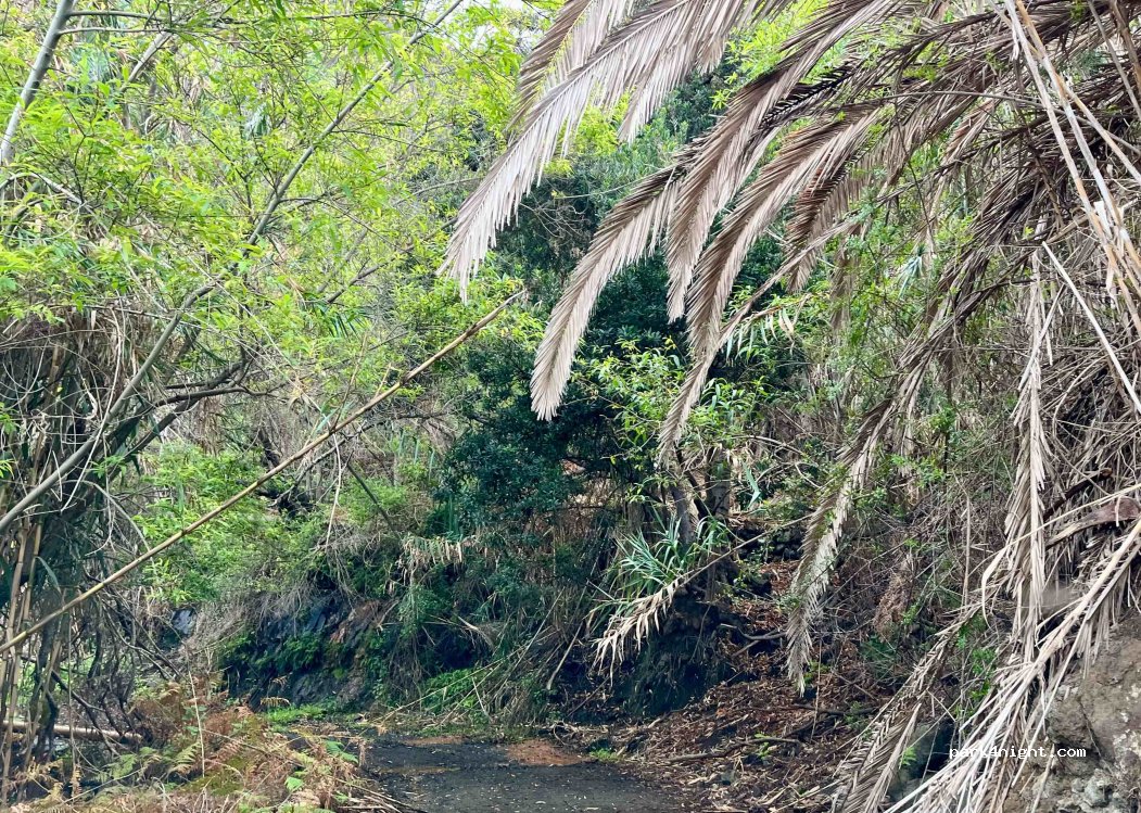(38820) Llano Campos - Unnamed Road — foto 2