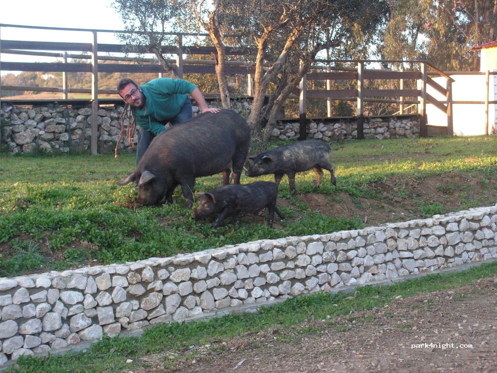 Herdade da Hera — foto 3
