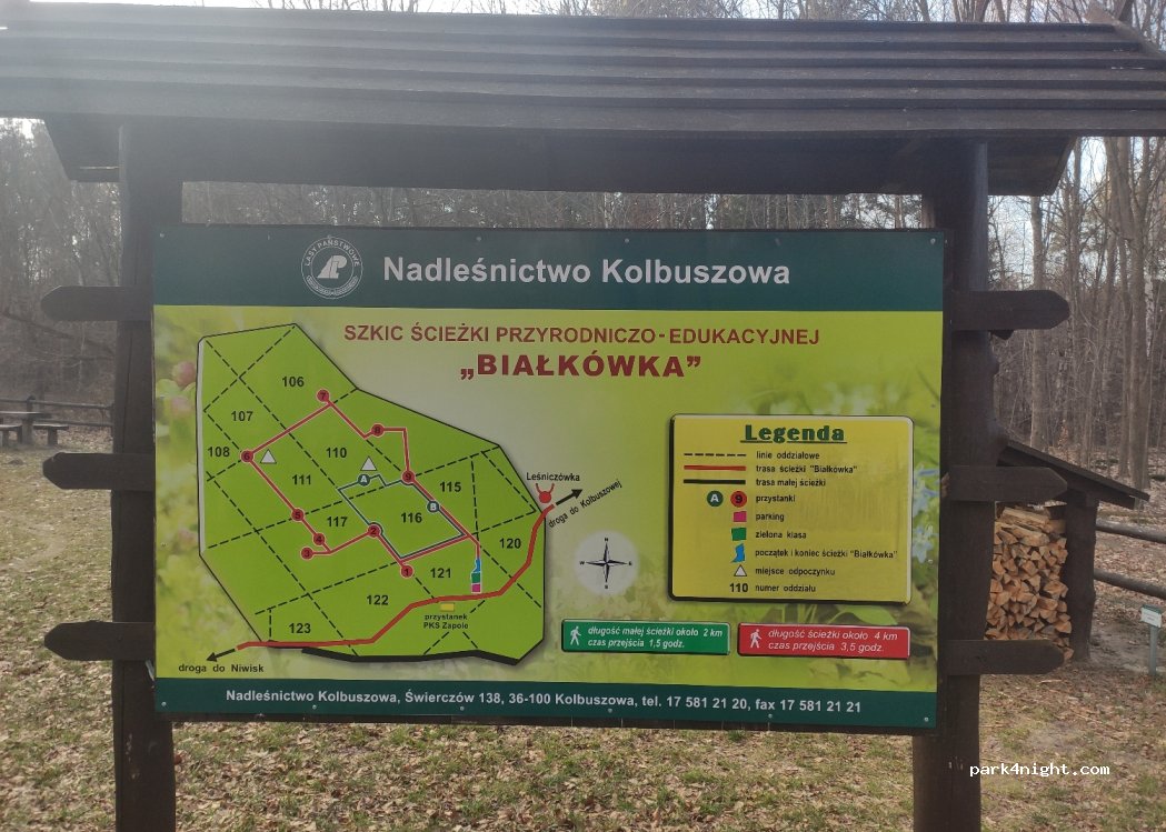 (36-100) Kolbuszowa - — foto 2
