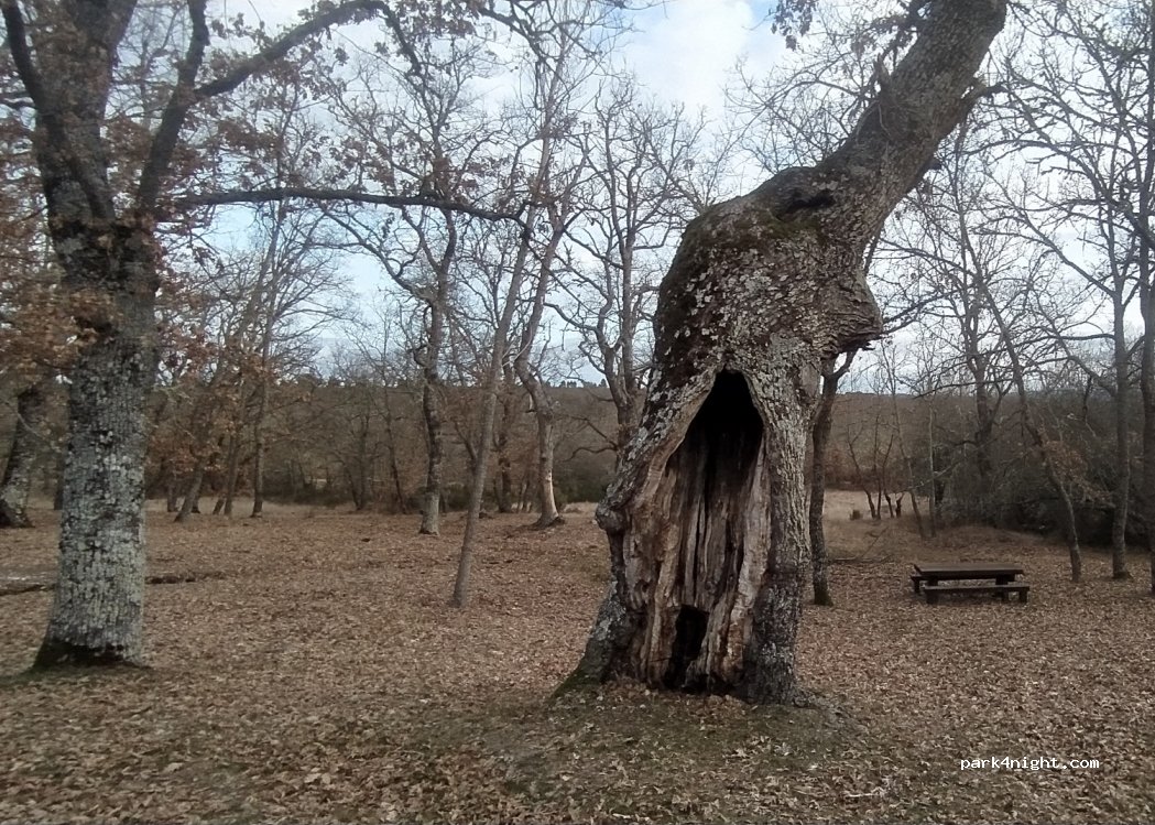 (49326) Valleluengo - — foto 3