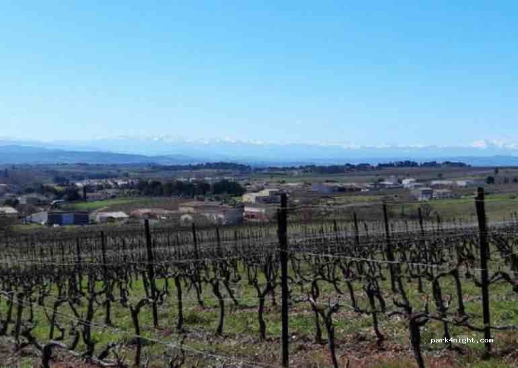 Domaine Les Maillols — foto 2