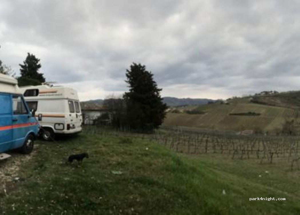 (47522) Lizzano - 2070 Via Lizzano — foto 3