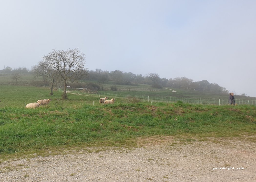 (67330) Bouxwiller - Unnamed road — foto 3