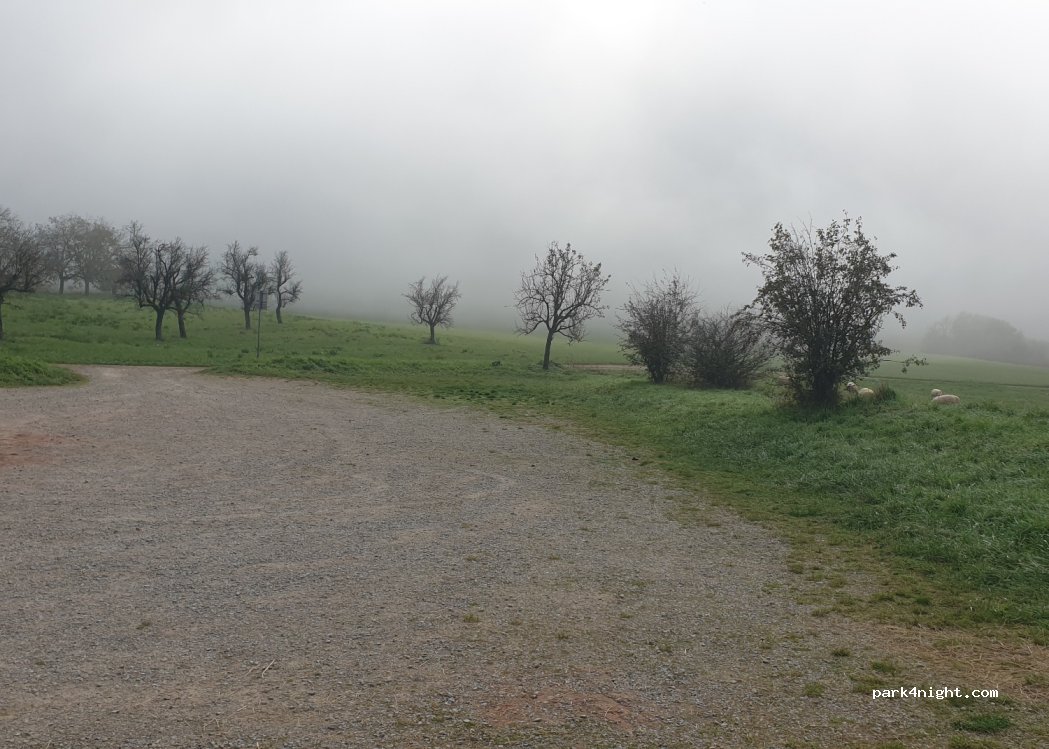 (67330) Bouxwiller - Unnamed road — foto 4