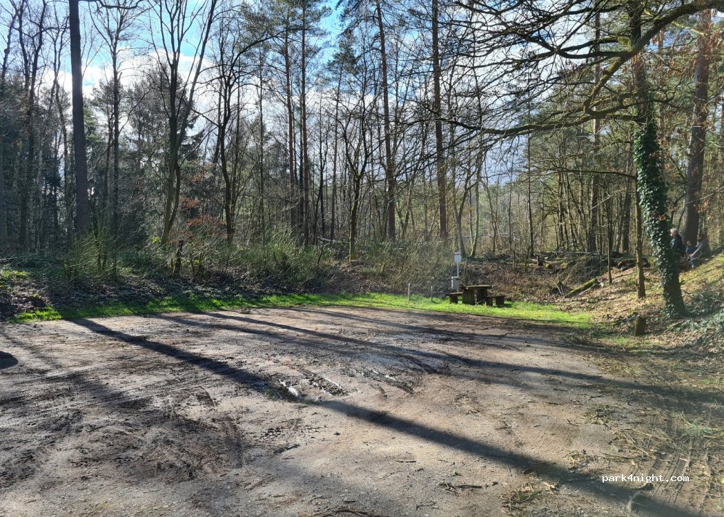 (29331) Lachendorf - — foto