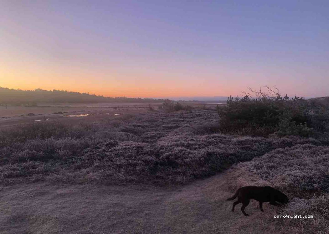 (4573) Højby - Unnamed Road — foto