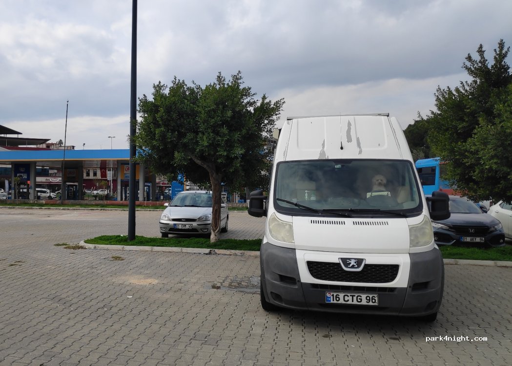 (01010) Adana - 5 26028. Sokak — foto 2