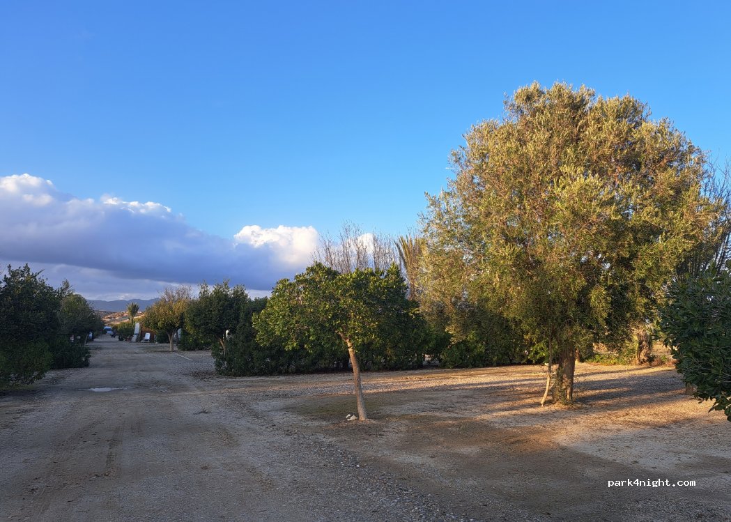 Camping Vera — foto 2