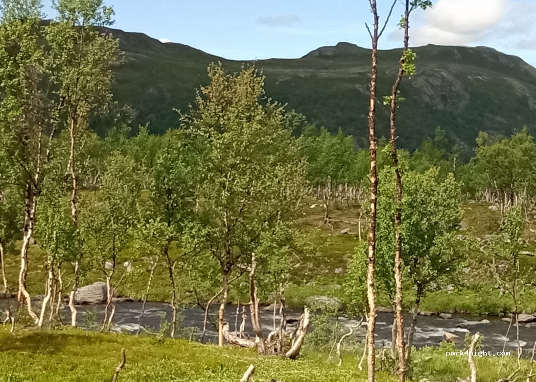 (9517) Alta - 1 Sarvesveien — foto 3