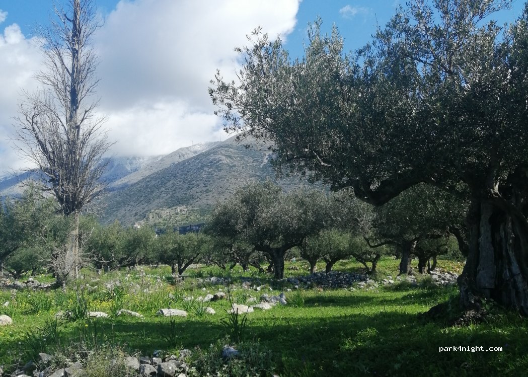 (230 62) Aggidaki - Epar.Od. Areopolis- Gerolimena — foto 4