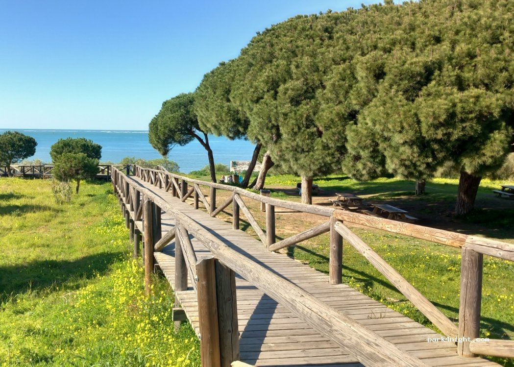 (11540) Sanlúcar de Barrameda - 375 Carretera de la Jara — foto 4