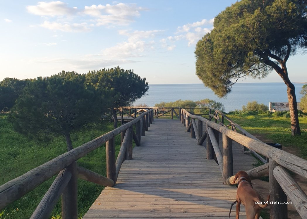 (11540) Sanlúcar de Barrameda - 375 Carretera de la Jara — foto 5