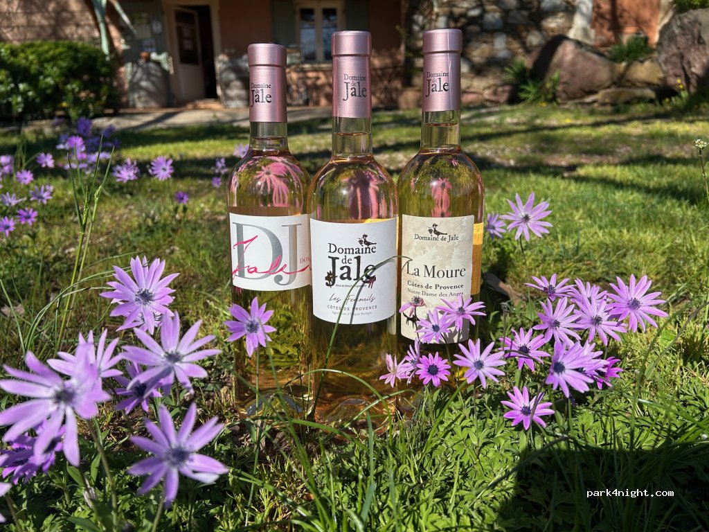 Domaine de Jale — foto 4