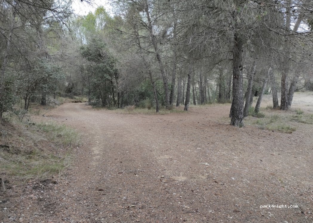 (22571) Baldellou - — foto 2