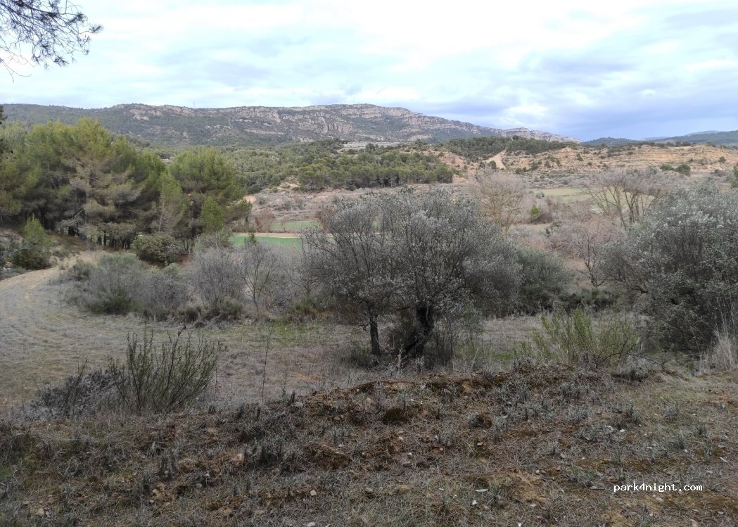 (22571) Baldellou - — foto 3