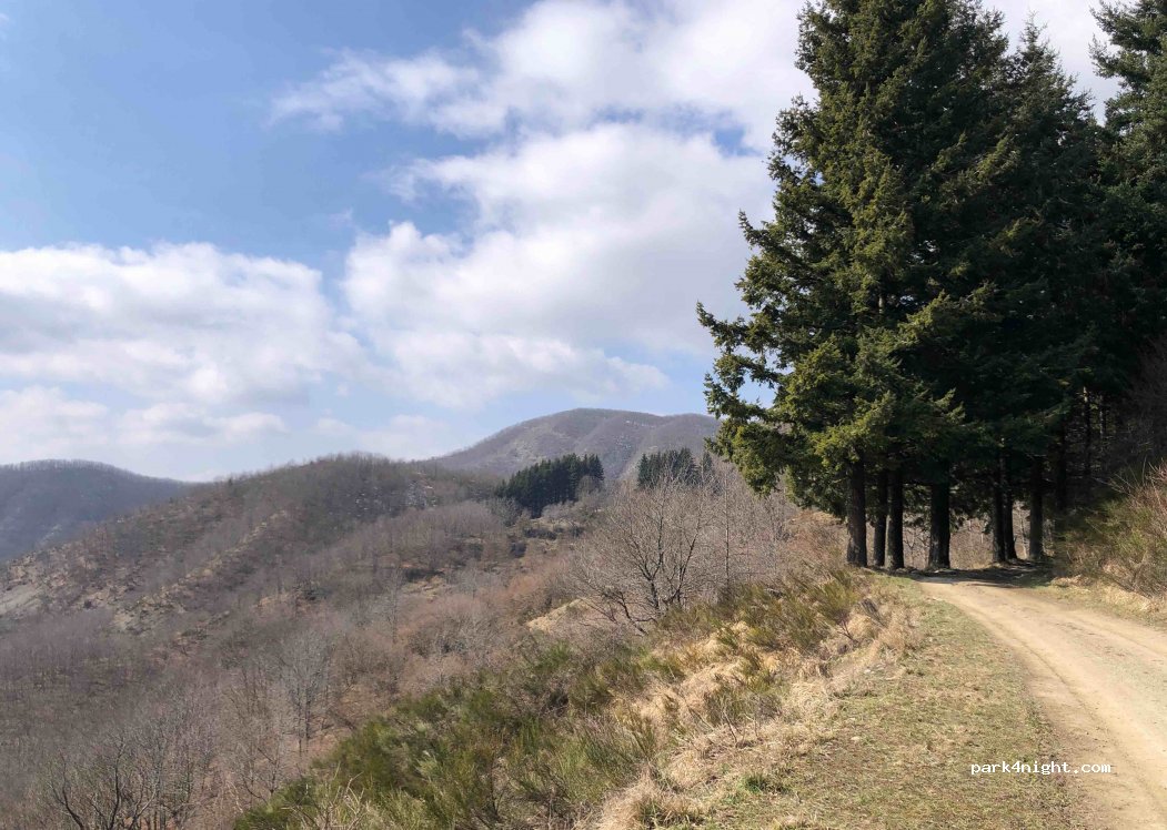 (59024) Vernio - Strada dell' Alpe di Cavarzano — foto