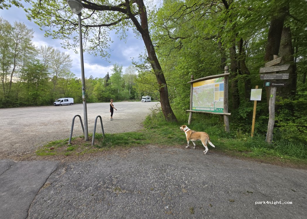 (34320) Söhrewald - Diebgrabenstrasse — foto 5